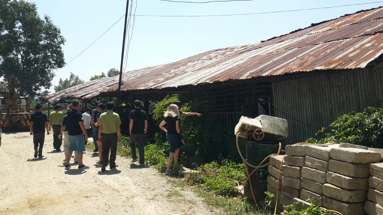 Cứu[-]hộ[-]thành[-]công[-]hai[-]cá[-]thể[-]gấu[-]ngựa[-]tại[-]thị[-]xã[-]An[-]Khê,[-]tỉnh[-]Gia[-]Lai